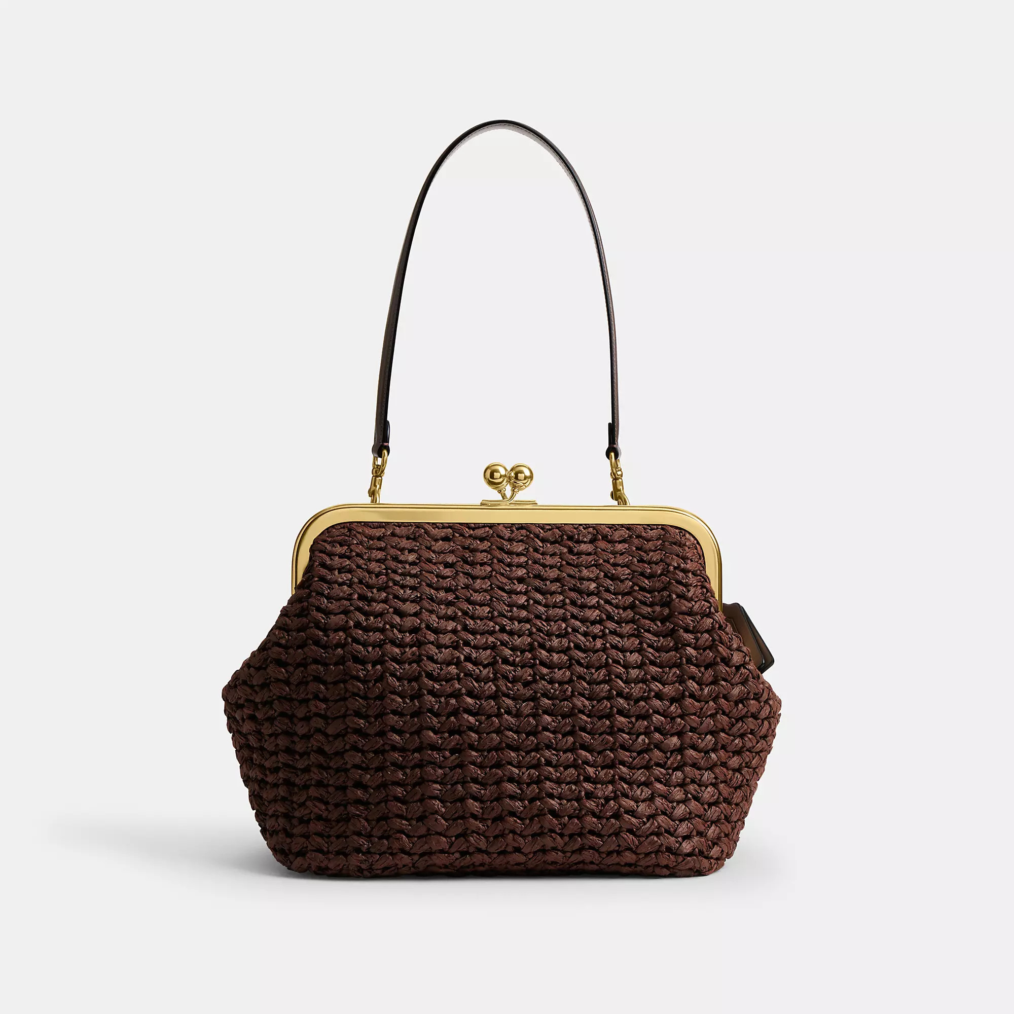 Kisslock Frame Bag 27 | Coach (US)
