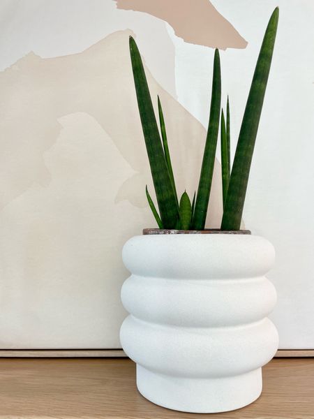 Cute, white planter! 

#LTKHome #LTKSeasonal