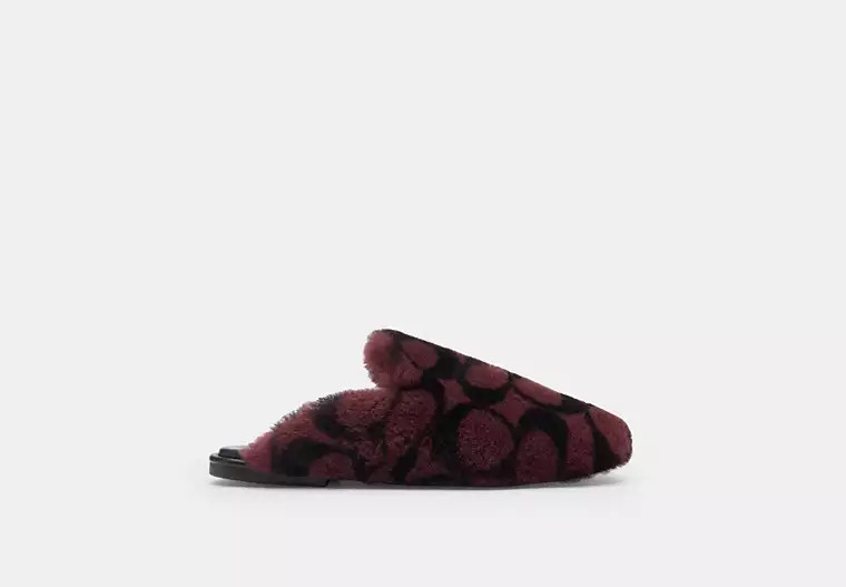 Slipper In Signature Shearling | Coach (US)