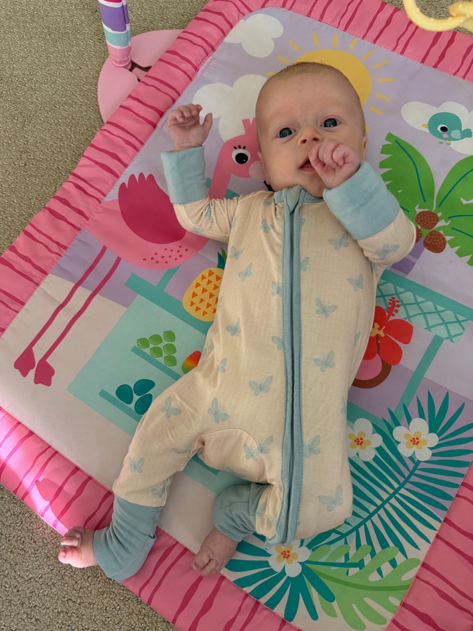 cutest butterfly infant romper 🦋

newborn | preemie | baby clothes 

#LTKBaby