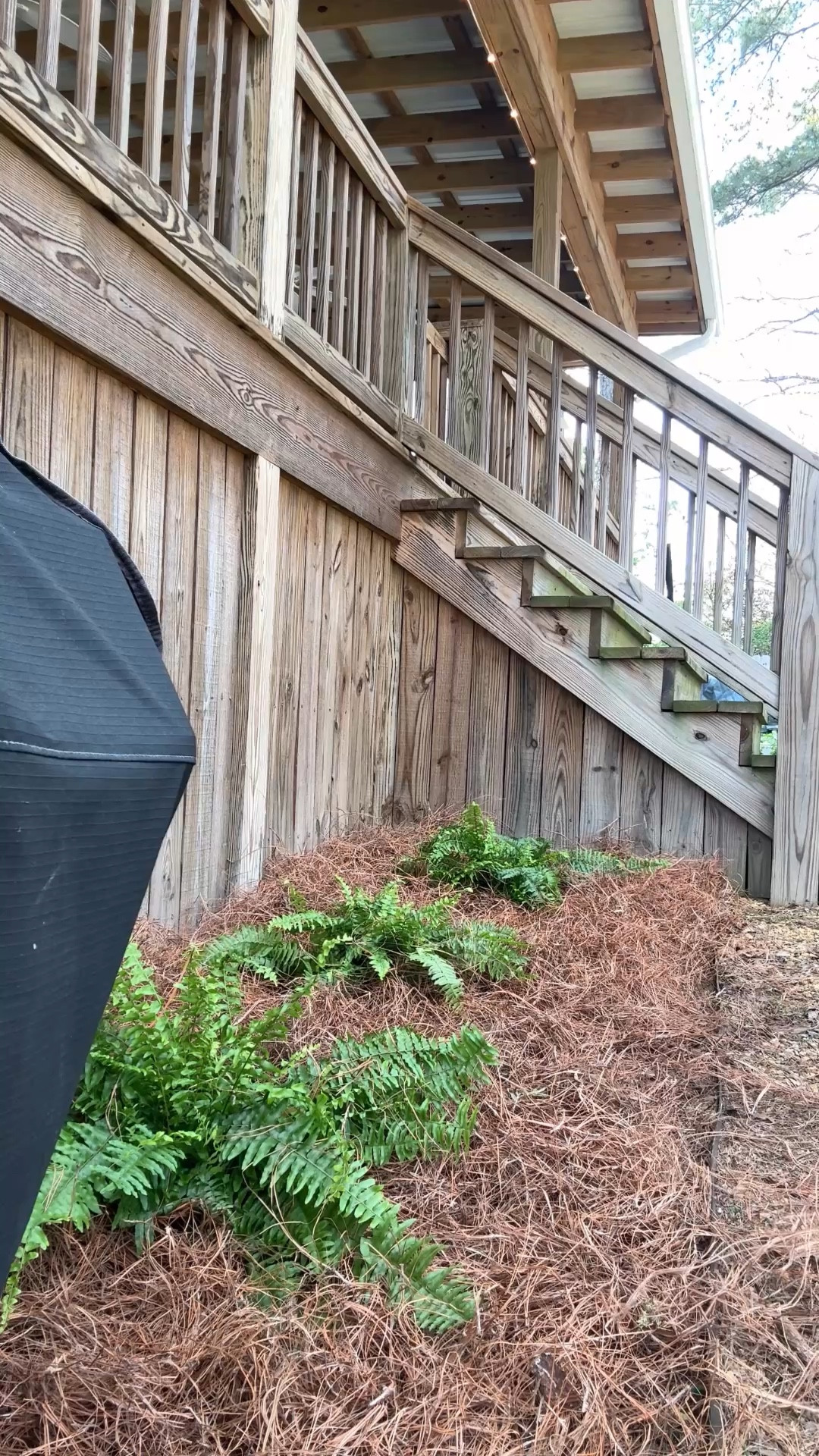 Solar pathway lights 
Auto on/off
Charge during the day via sunlight 

#LTKmomlife #LTKHome #LTKSeasonal