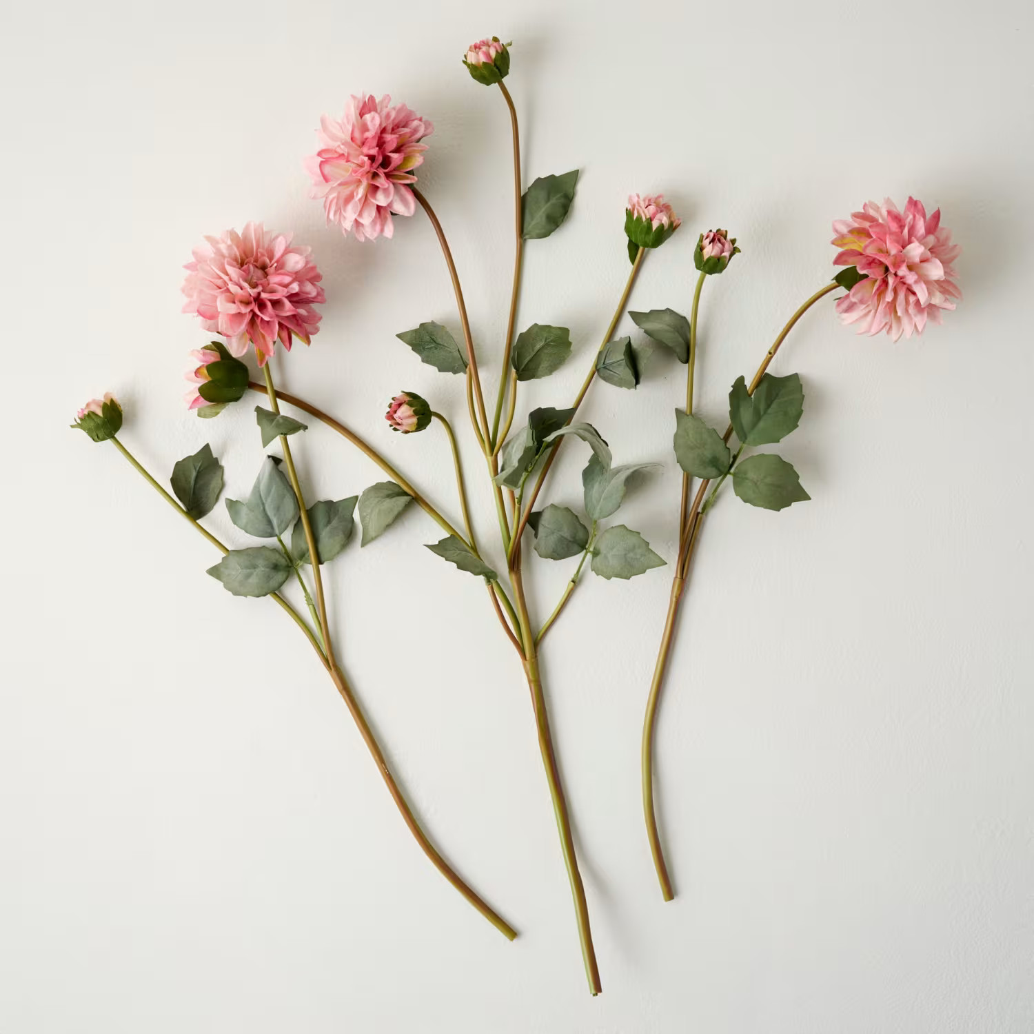 Dahlia Bloom Bundle | Magnolia