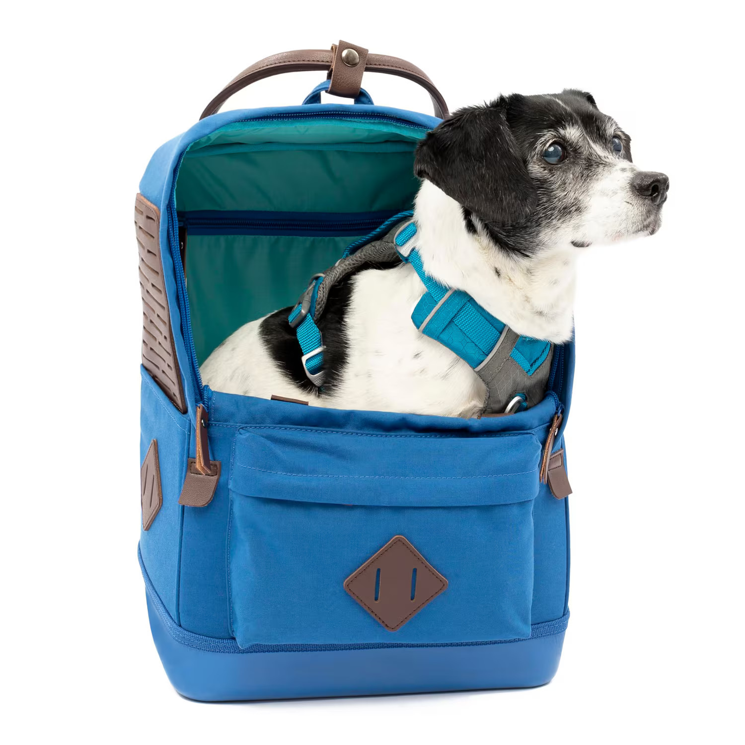 Cozy Serene - Nomad Dog Carrier Backpack Hiking For Small Dogs Pet Travel Pack Interior Safety Tether Waterproof Bottom Dual Carry - Default | Best Buy U.S.