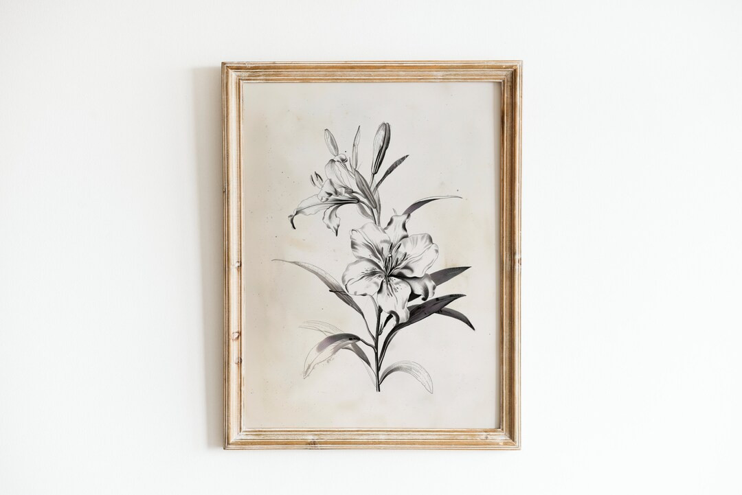Vintage Botanical Sketch | Printable Art | Vintage Wall Art | Digital Download | Instant Download... | Etsy (US)