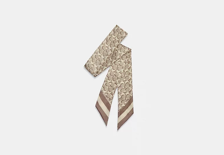 Signature Print Silk Skinny Scarf | Coach Outlet US