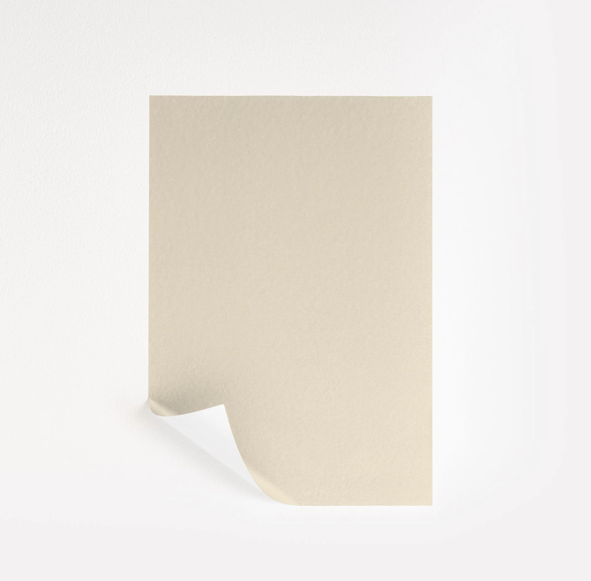 Chatsworth Cream Paint Sample by Benjamin Moore (225) | Peel & Stick Paint Sample | Samplize