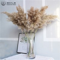 20 Pcs, Free Shipping, Wedding Pampas Grass Flower Bunch, Natural Dried Reed, Pampas Grass, Rraw Col | Etsy (US)