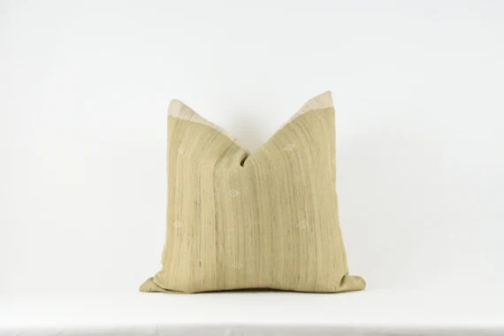 Beige Silk Pillow | Etsy (US)
