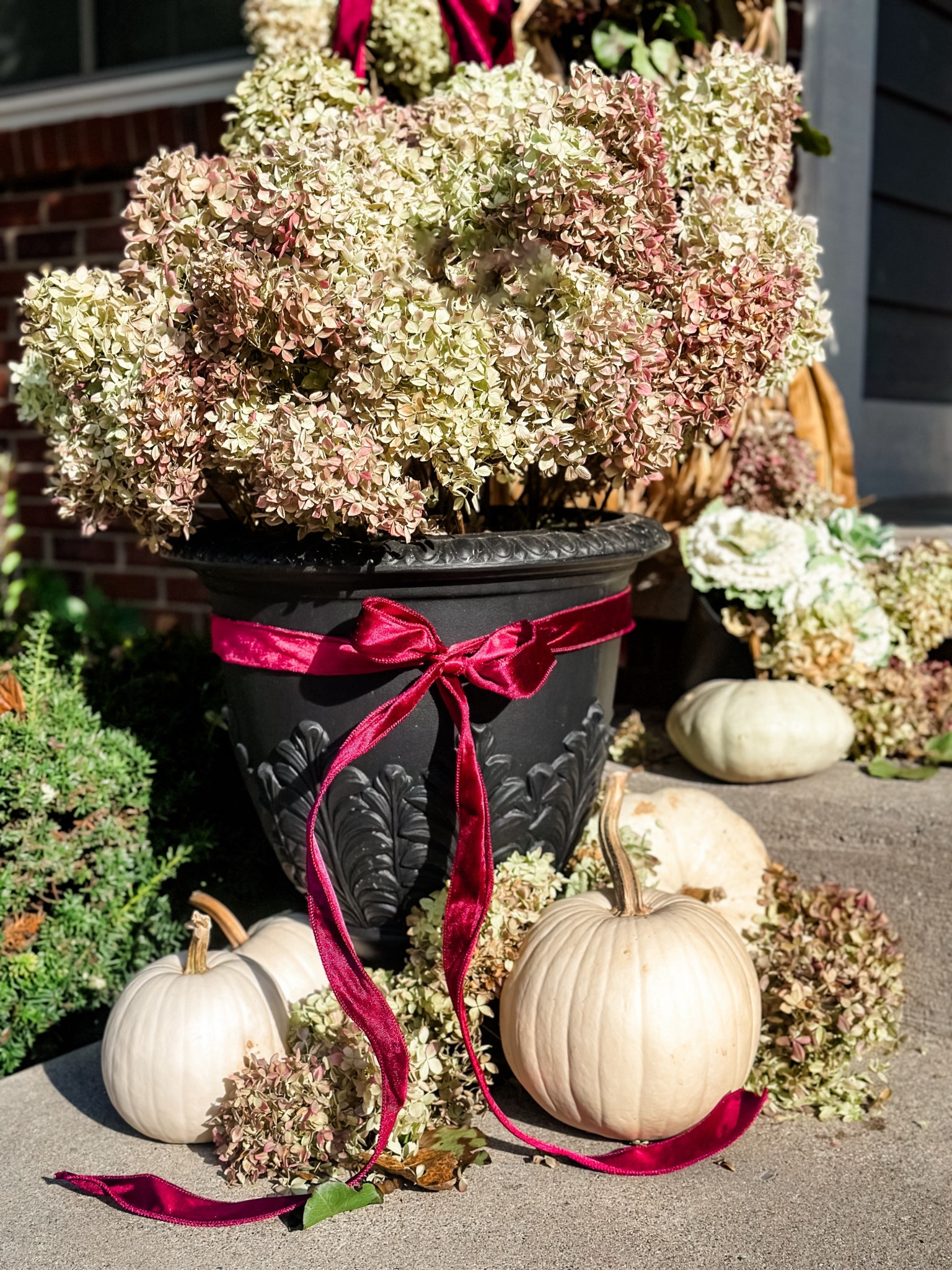 Best Amazon wired ribbon for holiday decorating 🎀



#LTKSeasonal #LTKSaleAlert #LTKHoliday