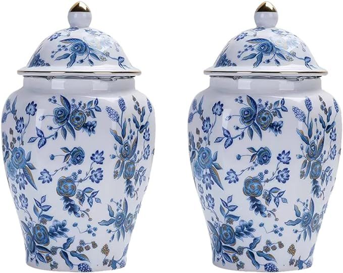 Magcolor Decorative Creative Blue and White Ceramic Ginger Jar set of -2 with Lid-7.7 inch Tall | Amazon (US)