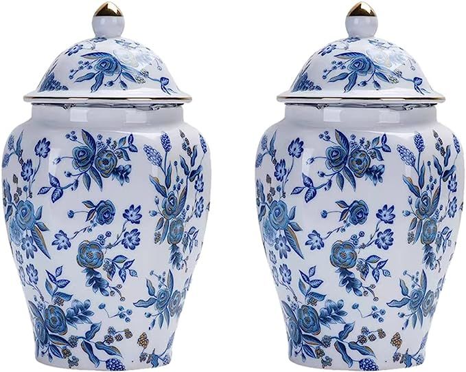 Magcolor Decorative Creative Blue and White Ceramic Ginger Jar set of -2 with Lid-7.7 inch Tall | Amazon (US)