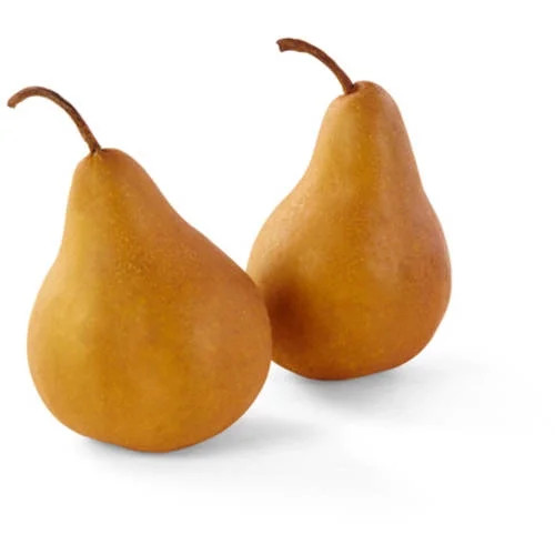 Bosc Pears, Bulk - Walmart.com | Walmart (US)