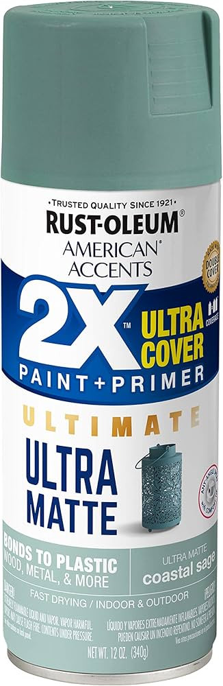 Rust-Oleum 344684 American Accents Spray Paint, 12 Ounce(pack of 1), Ultra Matte Coastal Sage | Amazon (US)