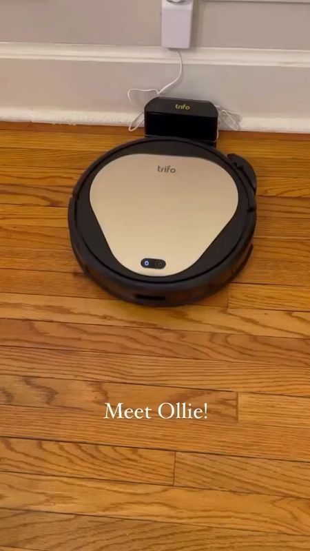 Ready to welcome Ollie into your home? Ollie is on sale for Prime day for $199! (normally $299) 

#LTKGiftGuide #LTKHoliday #LTKhome