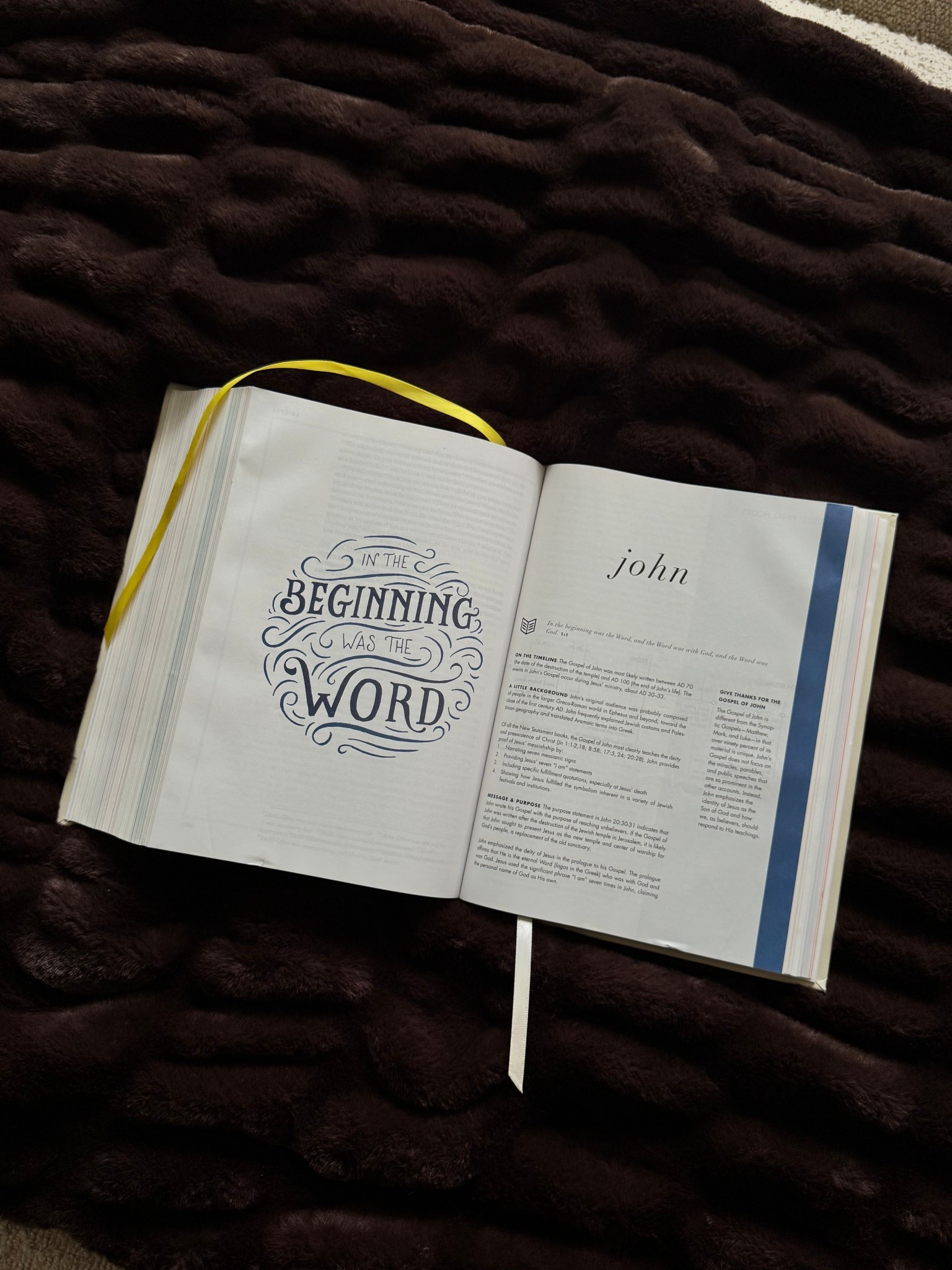 The best BEGINNER friendly Bible  

#LTKSaleAlert