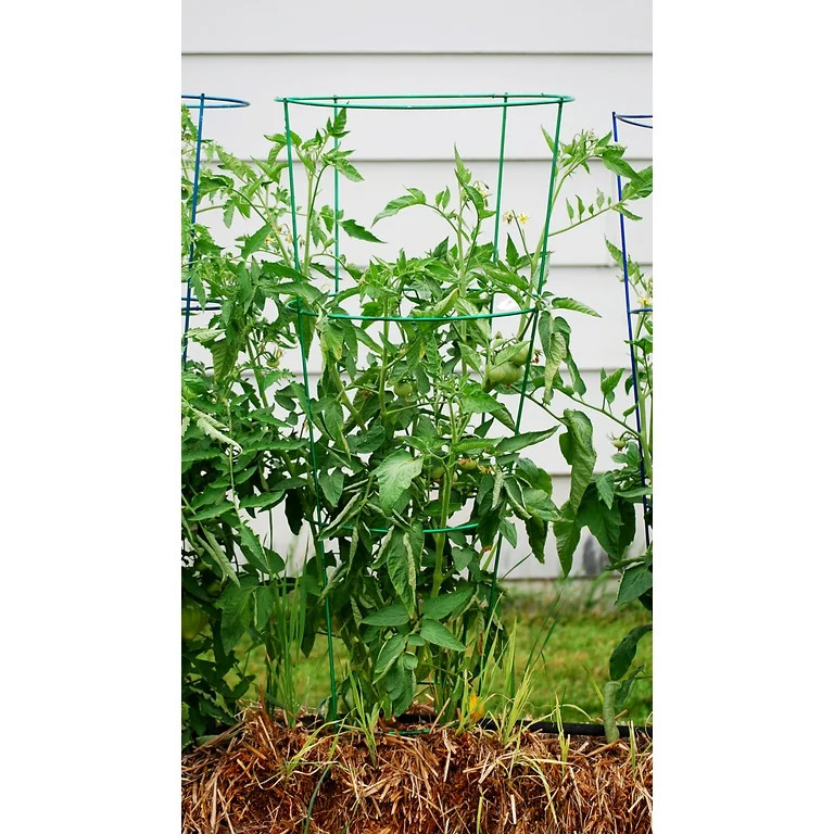 Glamos - Wire 42 in., Light Green, Heavy Duty Tomato Cages | Walmart (US)