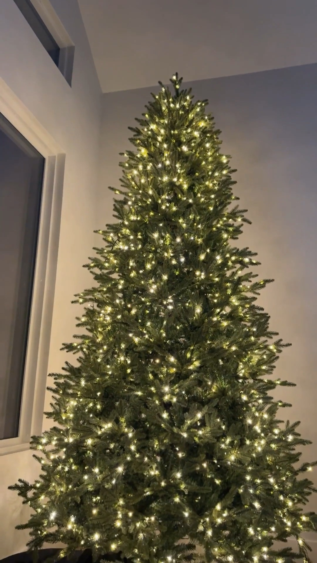 My Christmas tree & twinkle lights… with a cutie under it 🥰🎄🤍 

#christmas #christmastree #twinklelights