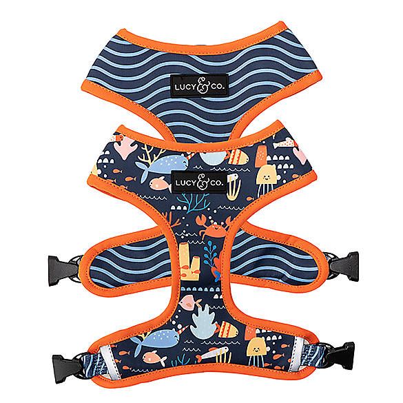 Lucy & Co. Under the Sea Reversible Dog Harness | PetSmart