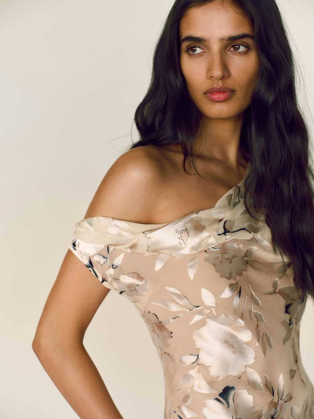 Evanthe Dress | Reformation (Global)