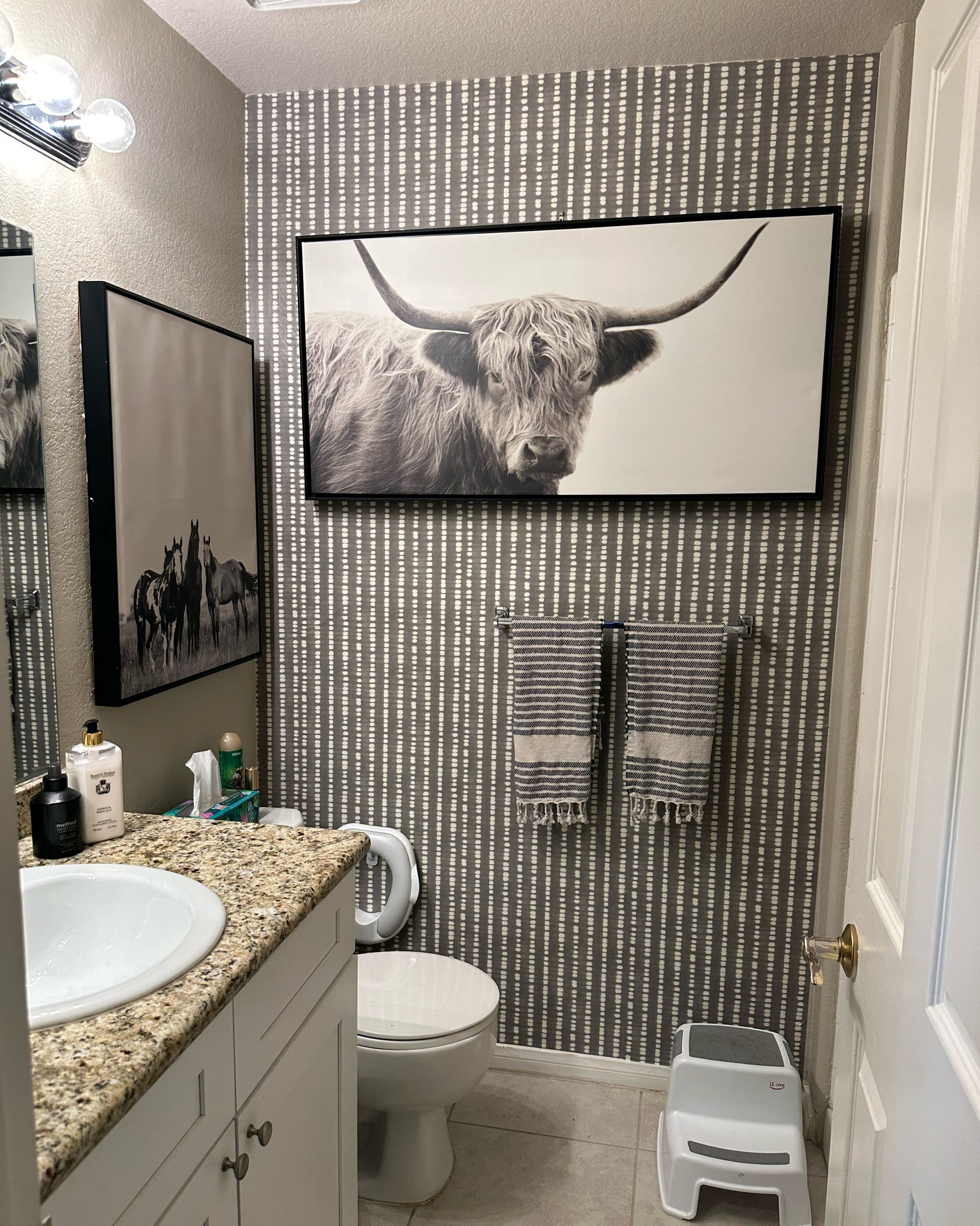 Easy bathroom update! 

#LTKfamily #LTKfindsunder100 #LTKhome