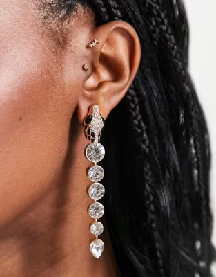 ALDO Serpino earrings with snake head in crystal | ASOS (Global)