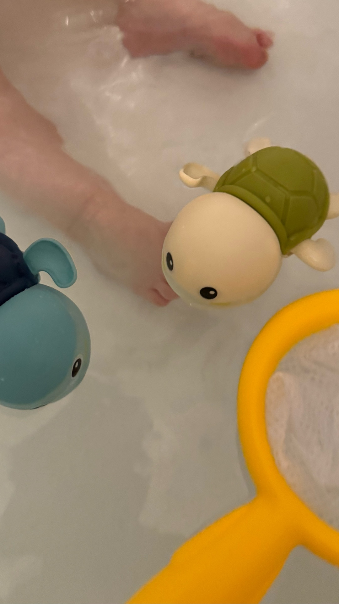 Swimming turtles 
Baby bath toys
Toddler bath toys
Foam letters 
Fish net
Bath turtles 

#LTKBaby #LTKKids #LTKmomlife