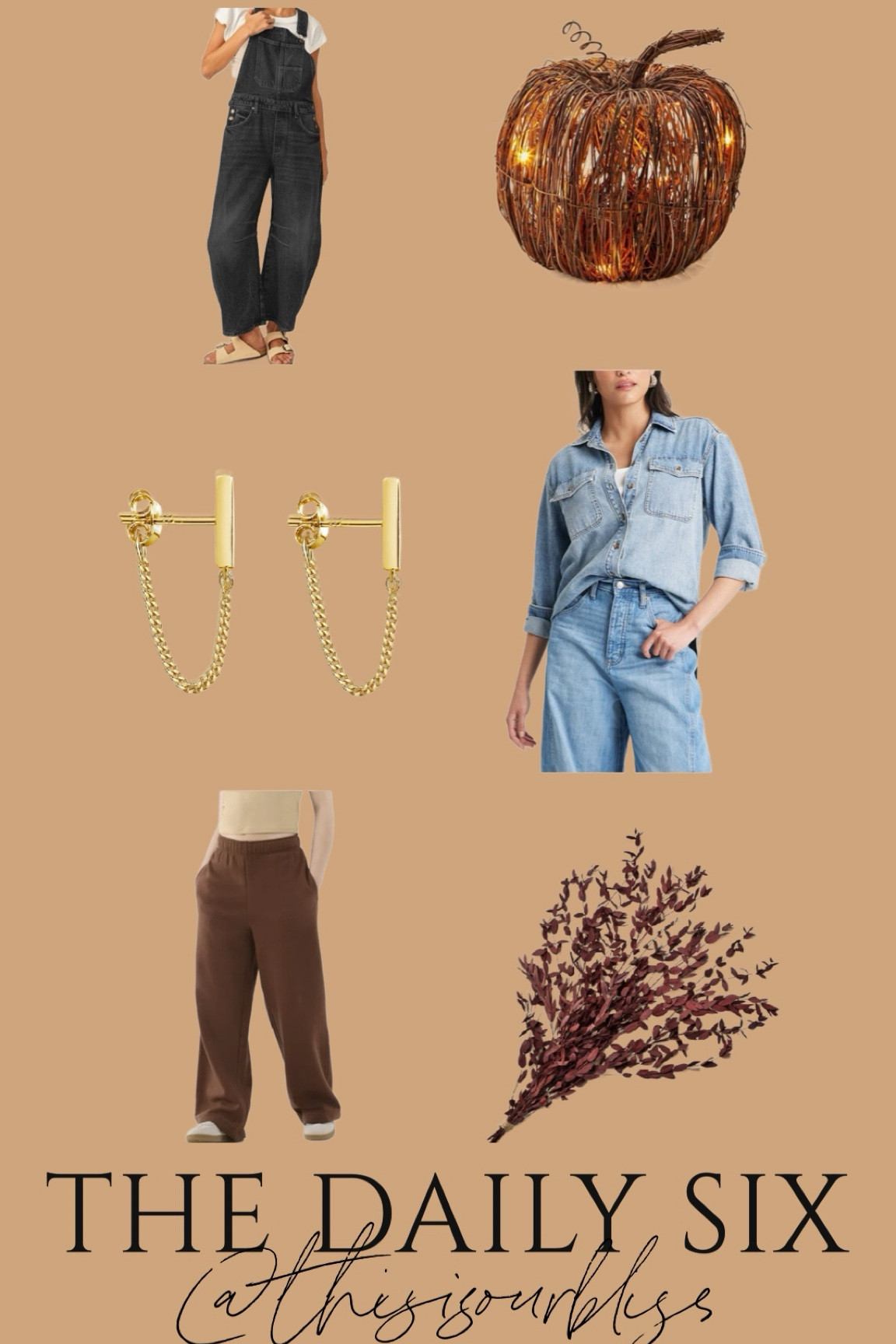 The daily six, today’s daily finds! 🖤🍂

- Barrel leg, black denim overalls
- light up pumpkin on sale!
- dainty Bar and chain earrings under $10
- oversized, denim shirt (I want the medium)
- $9 wide leg sweatpants in a gorg chocolate brown 
- faux rust eucalyptus stems for fall 🤎

#LTKHome #LTKSeasonal #LTKFindsUnder50