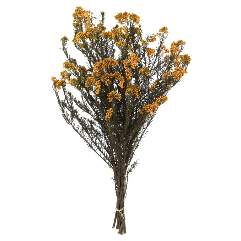 Vickerman 16" Autumn Rice Flower. Comes in an 8 oz Bundle. Preserved - Walmart.com | Walmart (US)