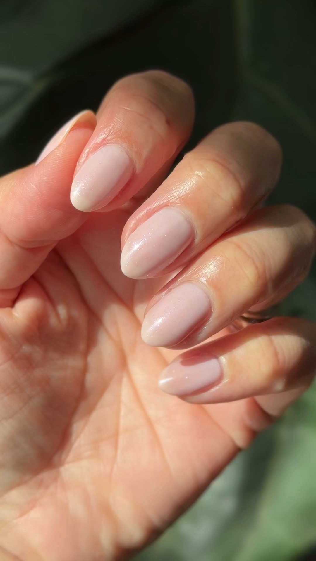 The sweetest soft pink milky shimmery polish has joined the Olive and June lineup for Valentine’s Day. Meet First Date, she is cute!! Shown here in 3 thin coats to achieve full opacity but it still has a gorgeous milky quality to it! 

What do you think? 

#LTKBeauty #LTKFindsUnder50