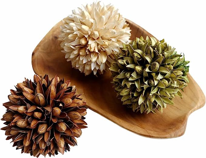 CIR OASES Decorative Balls Bowl/Tray &Floral Orb/Ball with Dried Potpourri, Artificial Decorative... | Amazon (US)