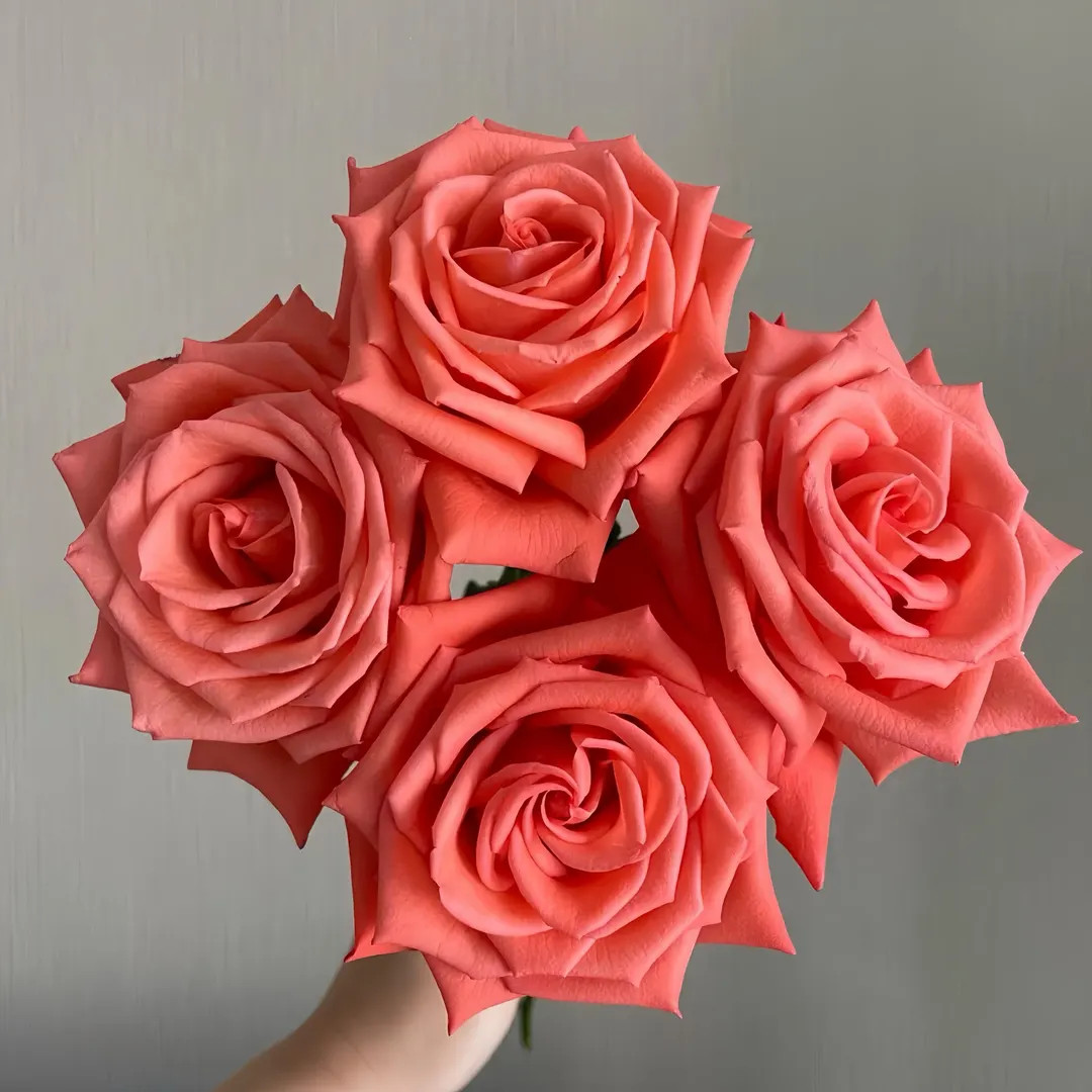 Movie star 影星 | Etsy (US)