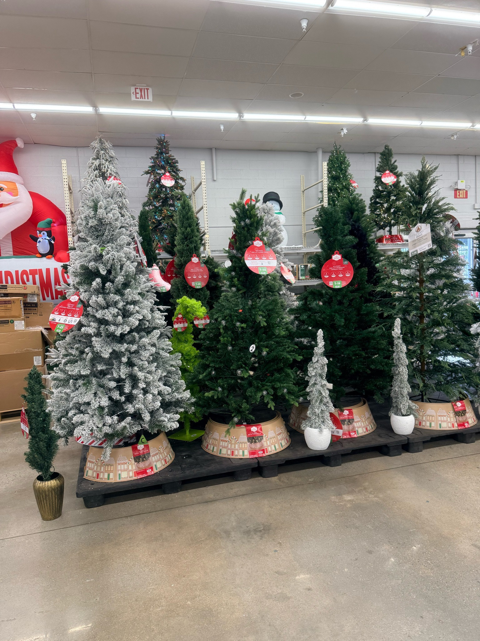OKAYYYY, THE VIRAL CHRISTMAS TREE IS BACK! 🎄🎅🏽🔥

 This is one of those Christmas finds that had EVERYBODY talking and now it’s back for another holiday season! I WANT IT AGAIN! 😍

🛍️ SHOP THE VIRAL CHRISTMAS TREE ON MY LTK!

#ChristmasTree #ChristmasFinds #HolidayDecor #LTKFinds