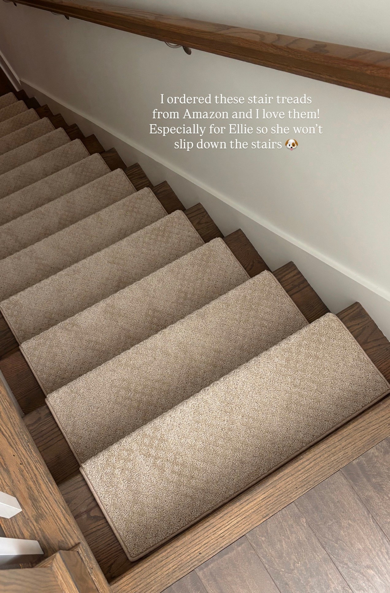 Love these stair treads from Amazon!! They are so cushy and stay on my stairs! A must have for pets! 🫶🏼

#LTKFindsUnder50 #LTKHome #LTKStyleTip
