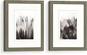 Bedroom Framed Tree Wall Art: Living Room Black and White Misty Forest Picture Small 2 Piece 8x10... | Amazon (US)