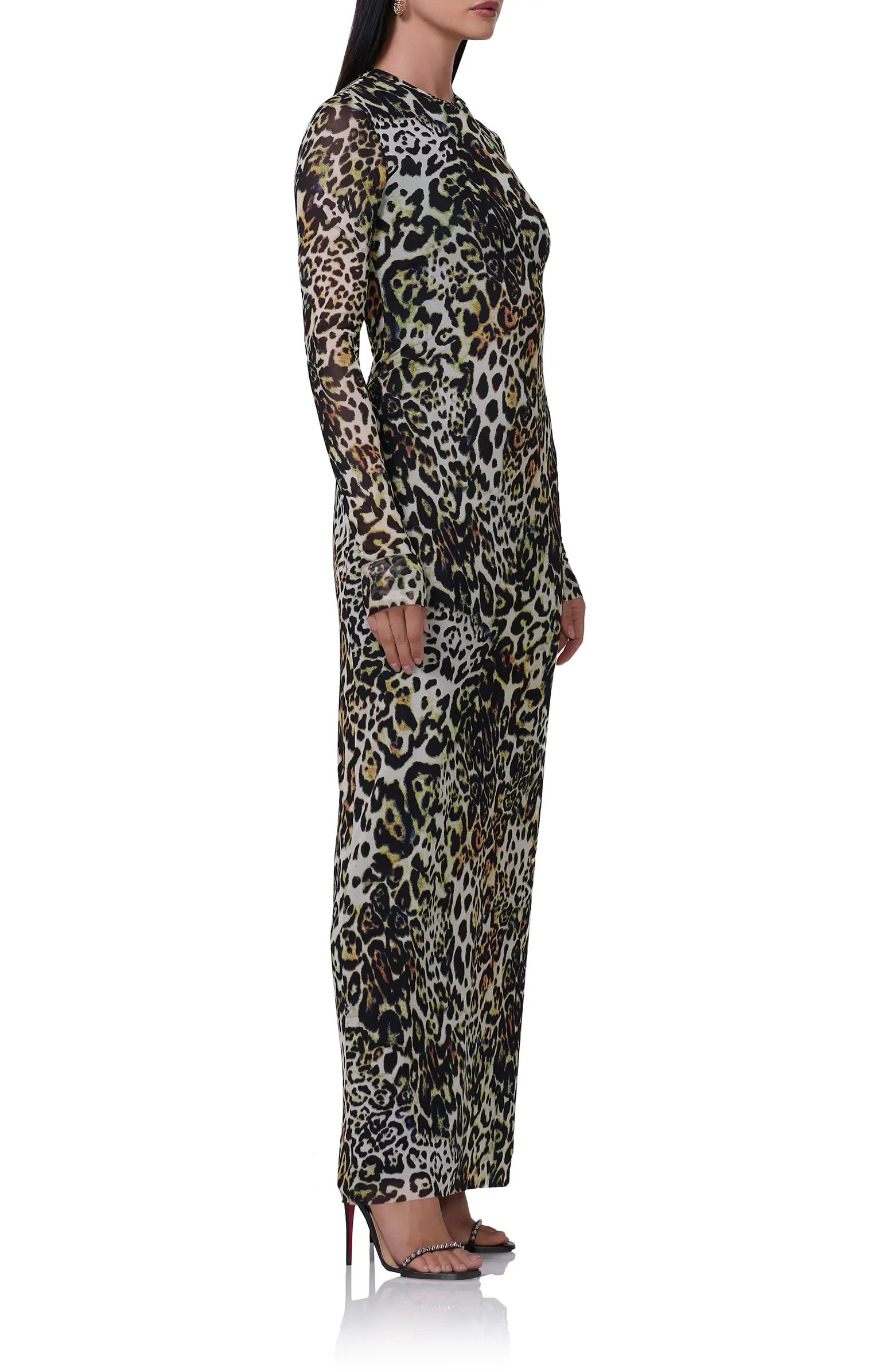 Didi Long Sleeve Mesh Maxi Dress | Nordstrom