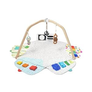 LOVEVERY | The Play Gym | Award Winning For Baby , Stage-Based Developmental Activity Gym & Play ... | Amazon (US)