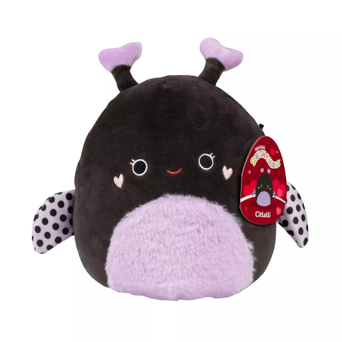 Squishmallows 8" Citlalli the Black and Purple Ladybug W/ Heart Antennae- Official Jazwares Valen... | Target
