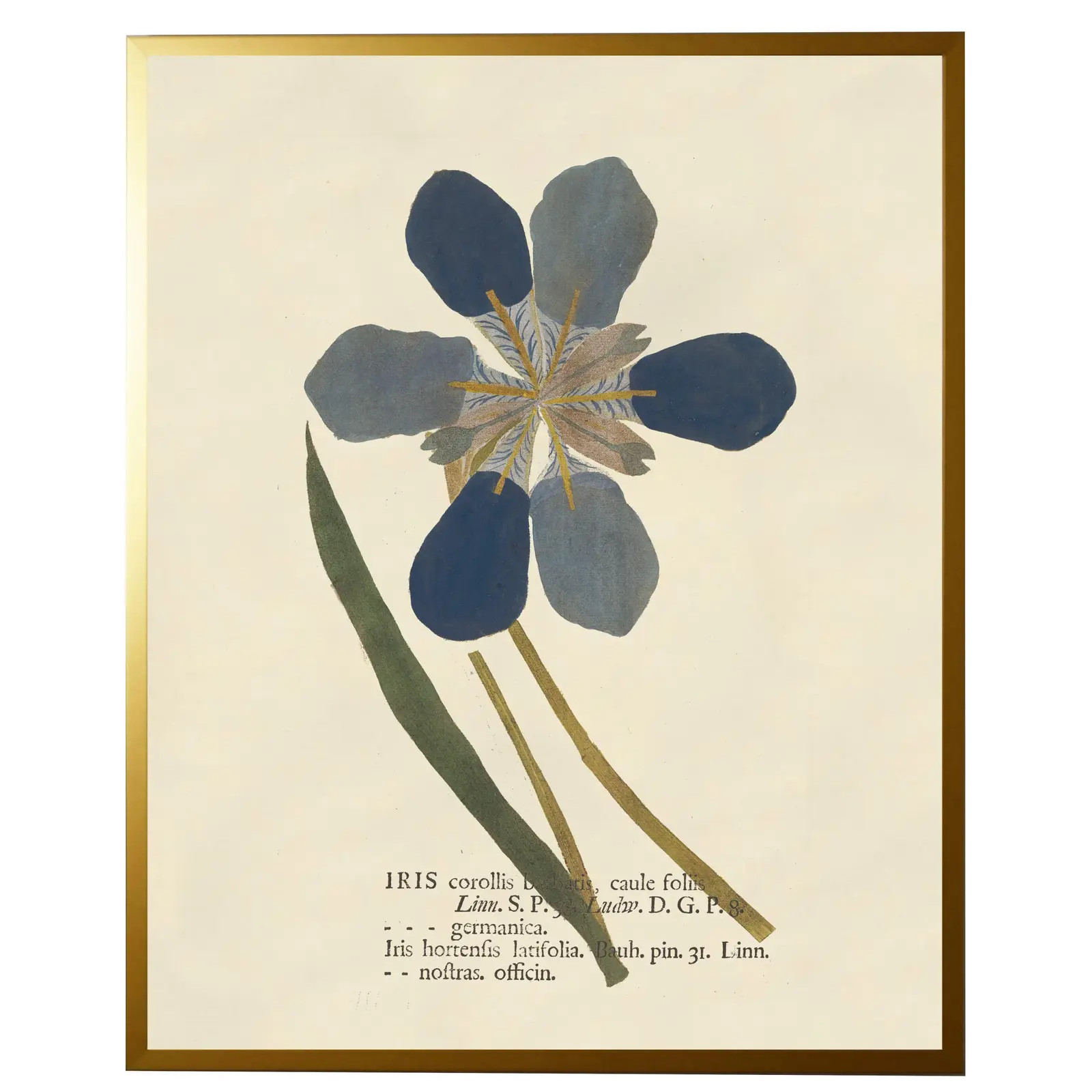 Blue Pressed Flowers Prints in Gold Shadowbox - 19" x 25", Set of 4 | Chairish