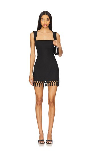 Lenii Mini Dress in Black | Revolve Clothing (Global)