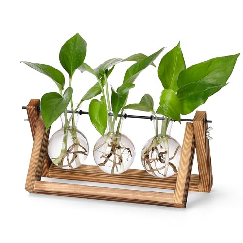 YIBOT Plants Propagation Stations,Desk Plant Terrarium with Retro Wooden Stand,Plant Lover Gifts for Women for Hydroponics Plants Home Garden Wedding Decor(3 Bulb Vase) | Amazon (US)