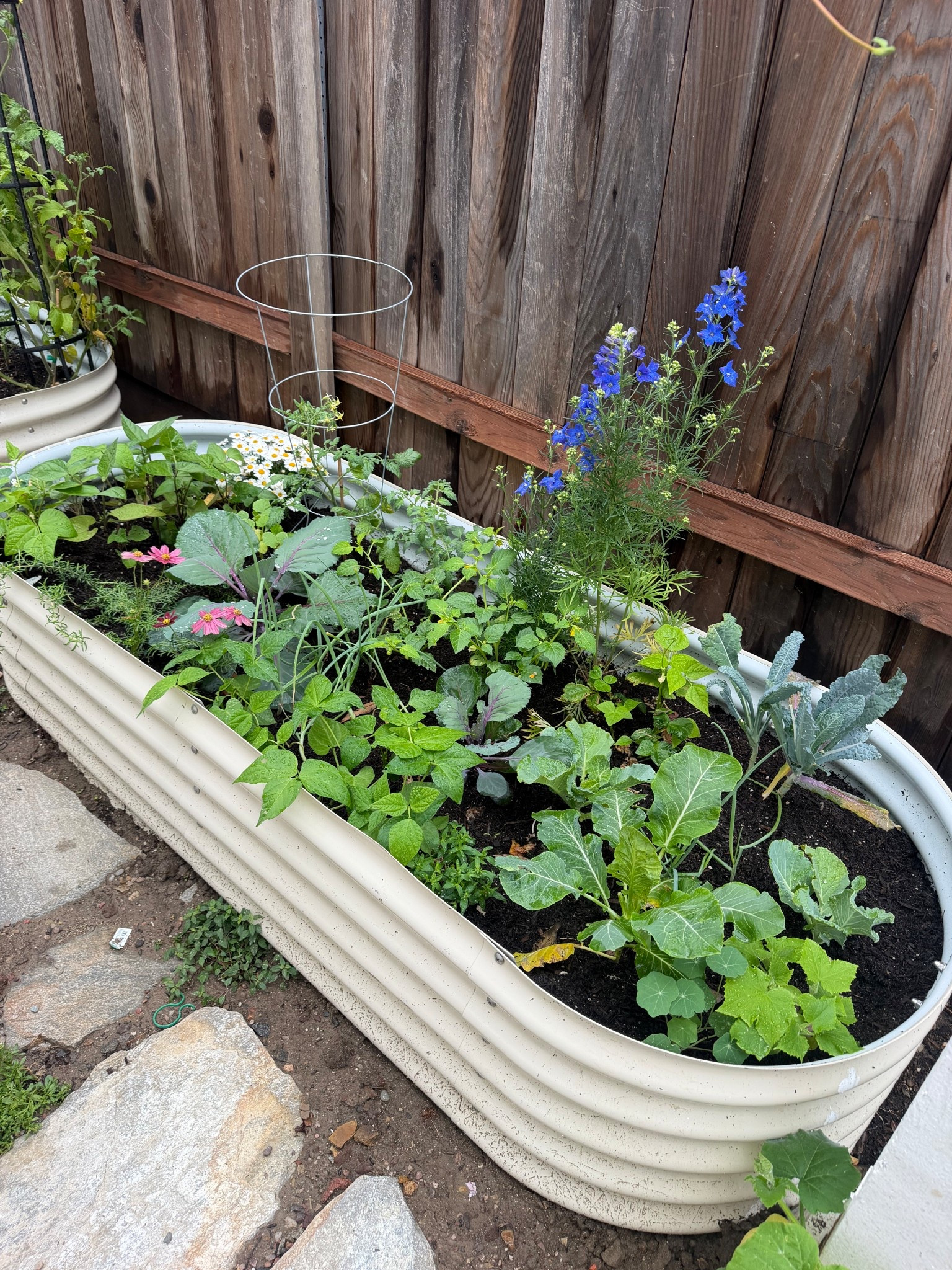 Love my raised beds so much!