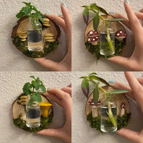 Plant propagation wall hanging, mushroom decor with removable magnet jar, moss wood plant mini va... | Etsy (US)