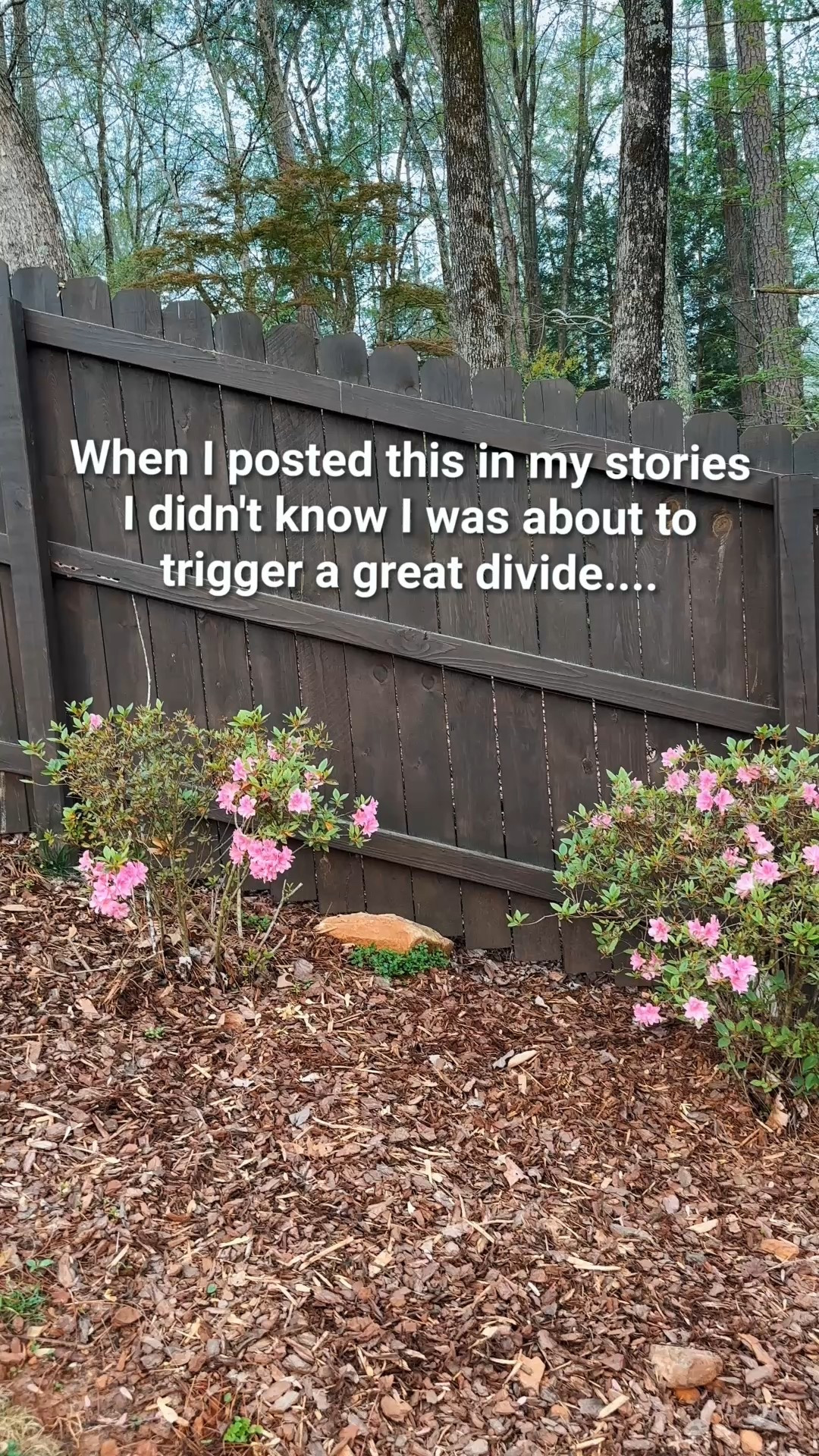 Team Azelea or Not? Which one are you?


#LTKHome #LTKOver40 #LTKSeasonal