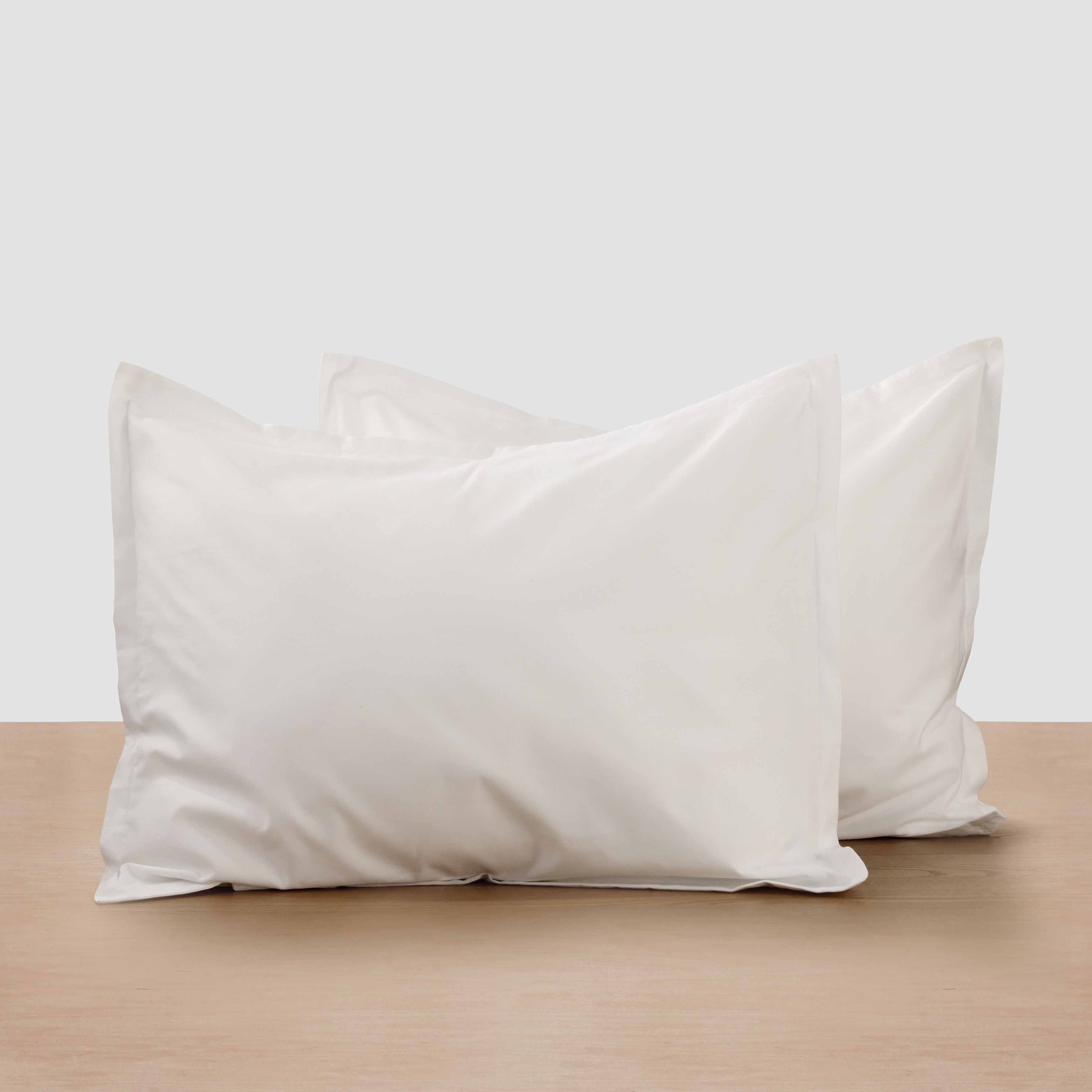 Sateen Shams | The Citizenry