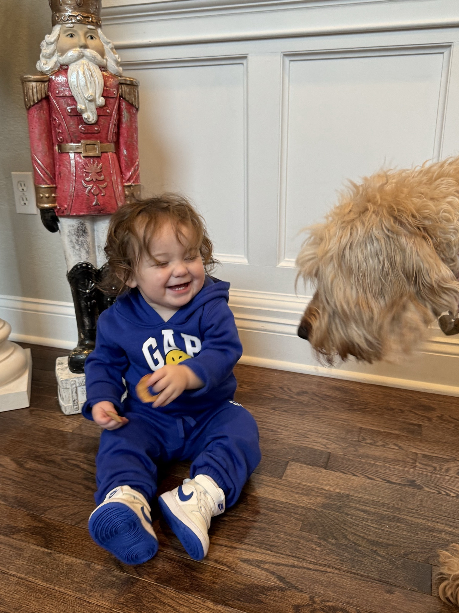 This little cutie loves his matching sweat sets! Atlas James Donnelly💙 The youngest of our 4 bays! 

This set is on super sale at GAP factory, but I’ll link some of our other favorite outfits as well! Hope you enjoy Atlas feeding our dog Dolce his snacks 😆

I also linked the bikes he’s wearing and other similar options😃

Atlas wears a size 18-24 months in Nike and Gap sweat sets and a size 4c in sneakers! Thanks for being here!!!🫶🏼🫶🏼🫶🏼

#LTKkids #LTKGiftGuide #LTKstyletip