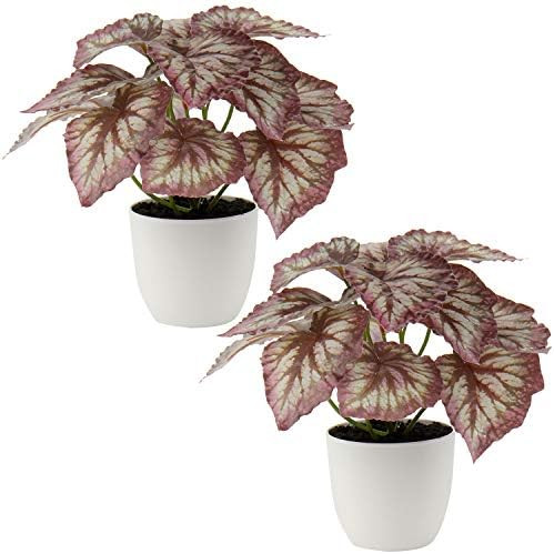 COCOBOO 3 Packs Fake Plants, Small Artificial Plants with Plastic Pots, Fake Potted Desk Plants f... | Amazon (US)