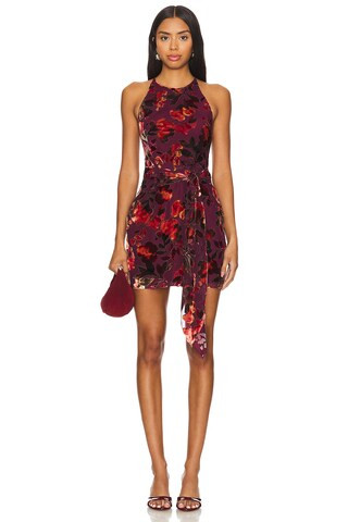 Amanda Uprichard Selah Dress in Sorrel Burnout from Revolve.com | Revolve Clothing (Global)