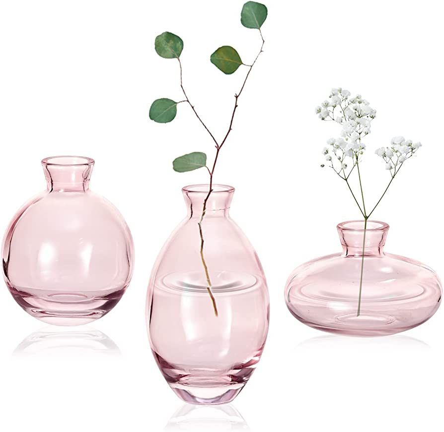 Pink Glass Bud Vase, Modern Decorative Small Mini Flowers Vases Short Minimalist Aesthetic Home D... | Amazon (US)