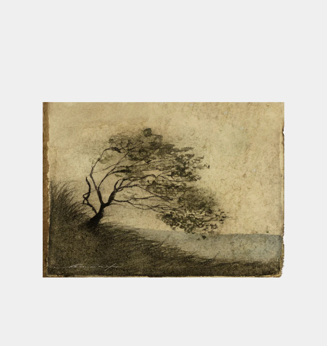 Windswept vol. I | Amber Interiors