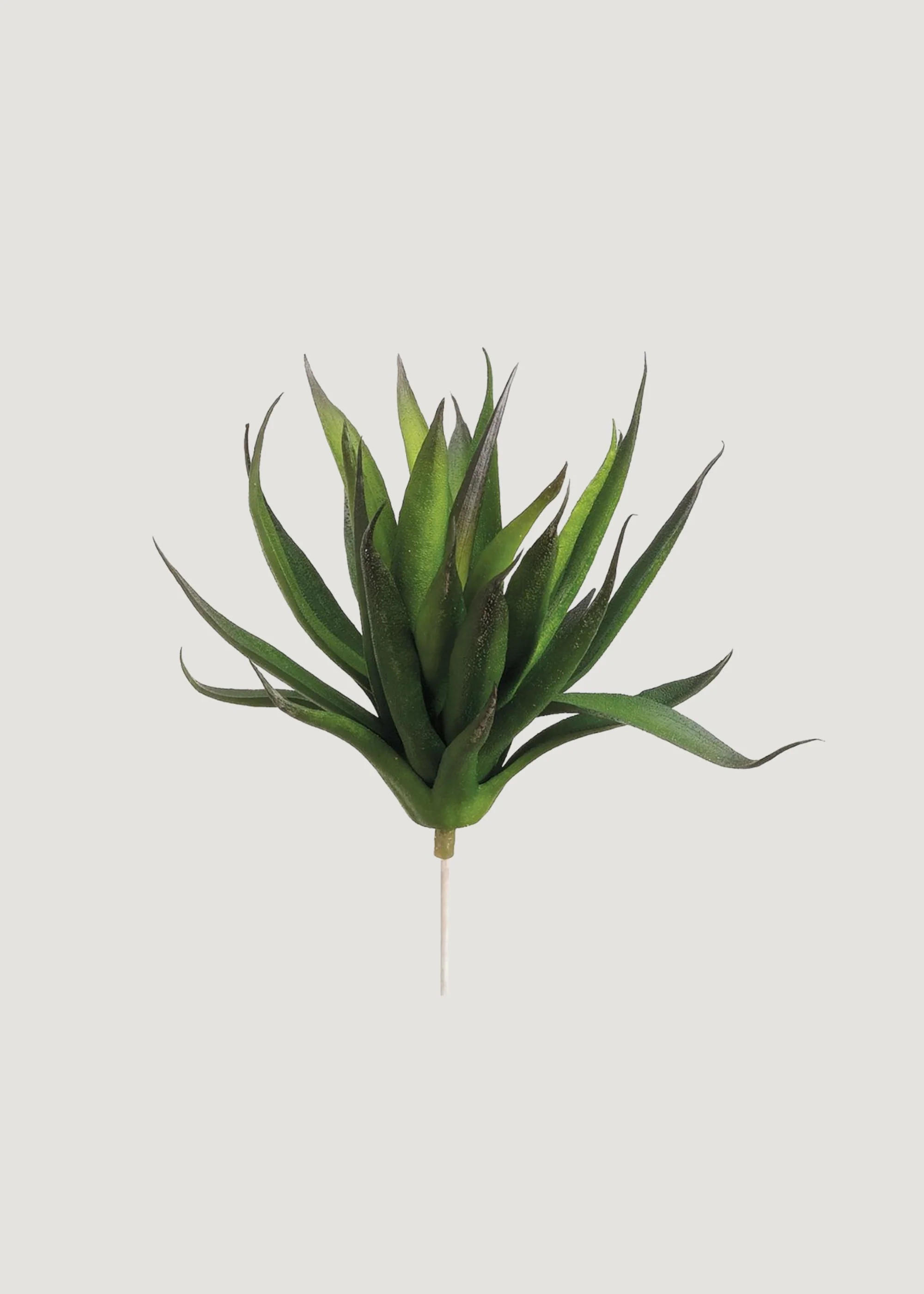 Fake Agave Succulent Plant - 6 | Afloral